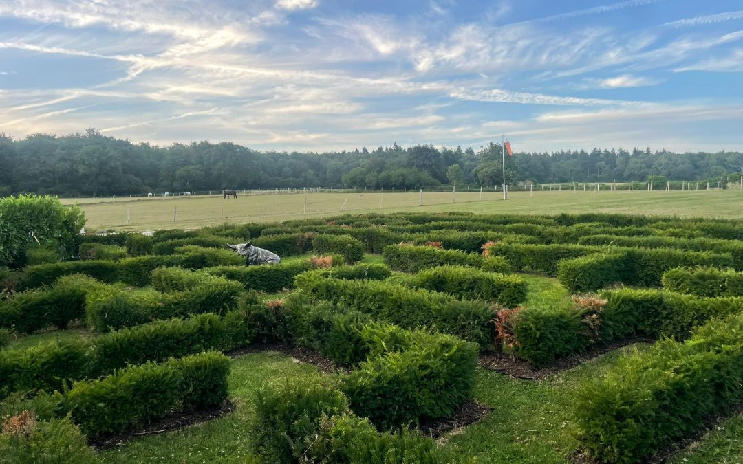 Wedding Venue Near Brighton