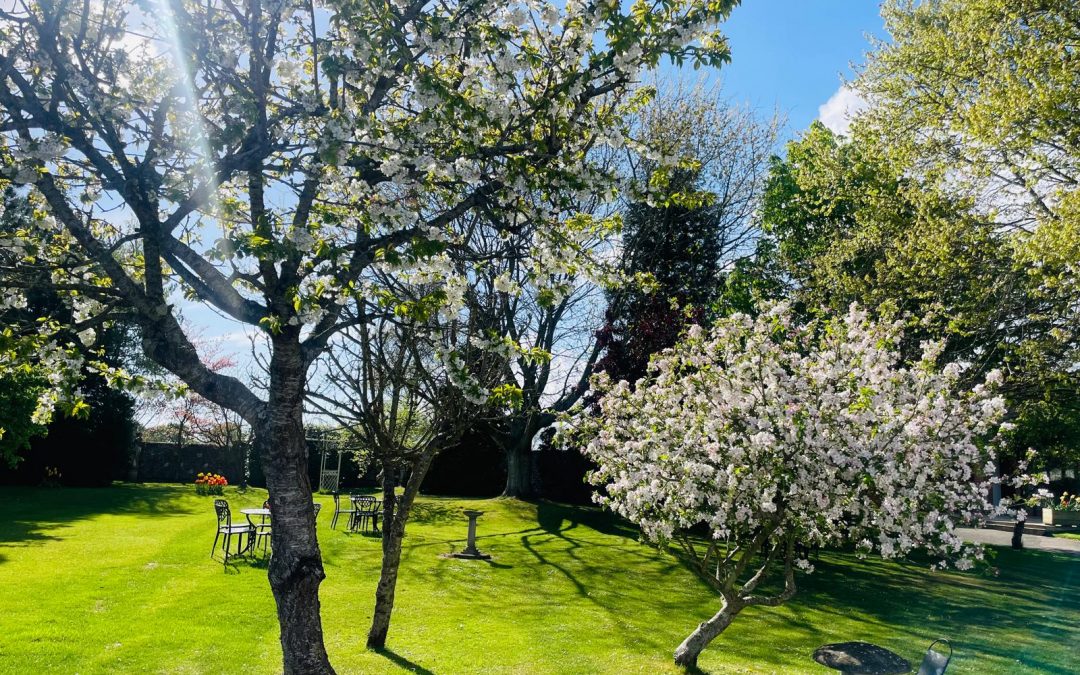 Why Spring Is Perfect for a South Downs Wedding