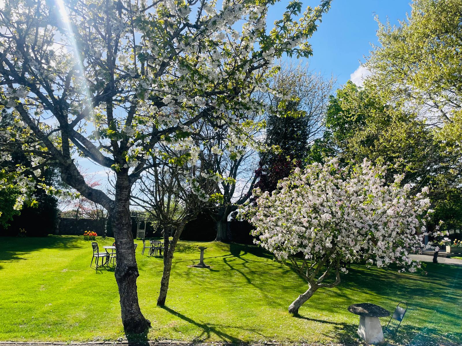Spring wedding grounds at Selden Barns